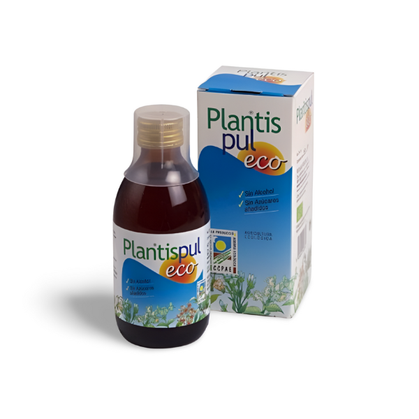 Plantispul eco (pulmonar)